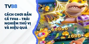 Cách Chơi Bắn Cá TV88 – Trải Nghiệm Thú Vị và Hiệu Quả